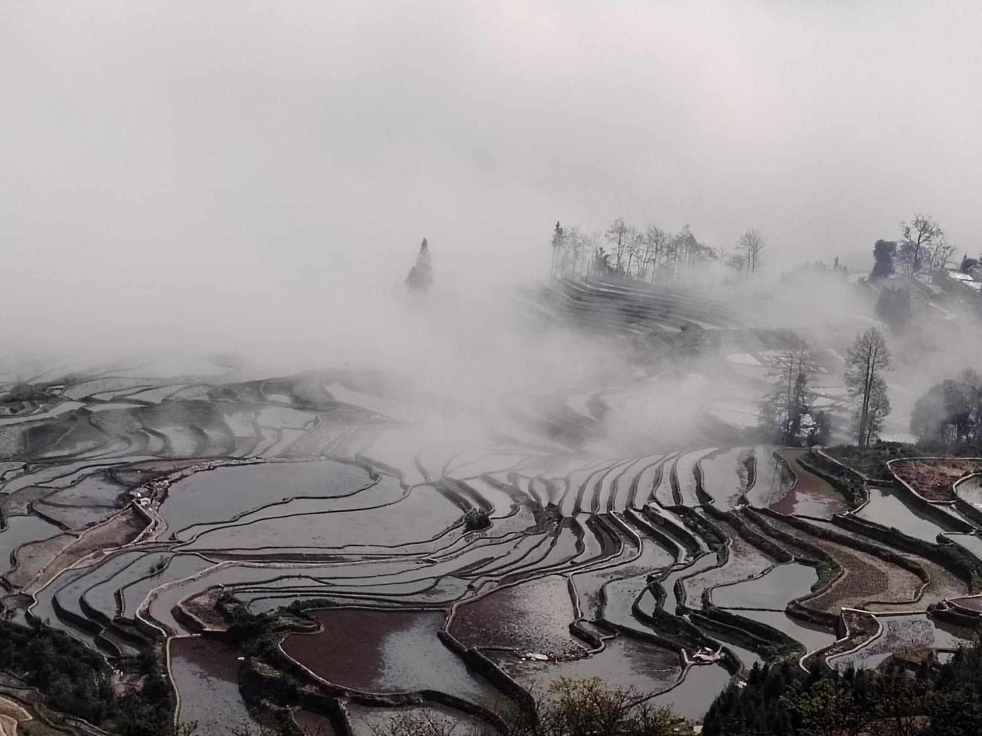 Jacky'S Guesthouse Yuanyang  Dış mekan fotoğraf